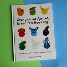 Load image into Gallery viewer, Orange Is An Apricot, Green Is A Tree Frog
