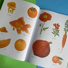 Load image into Gallery viewer, Orange Is An Apricot, Green Is A Tree Frog
