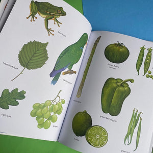 Orange Is An Apricot, Green Is A Tree Frog
