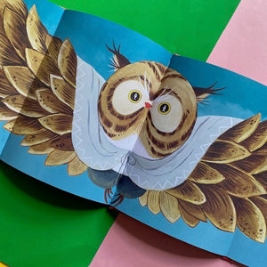 The Cat, The Owl And The Fresh Fish