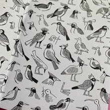 Load image into Gallery viewer, Oiseaux
