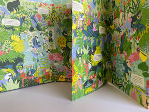 Day & Night: Rainforest