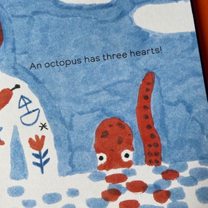 Octopuses Have Zero Bones
