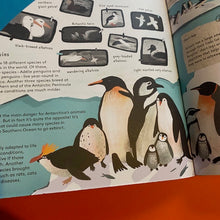Load image into Gallery viewer, Around Antarctica
