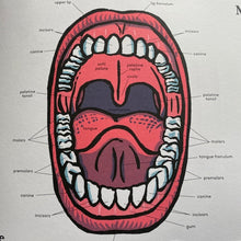 Load image into Gallery viewer, Inside The Body
