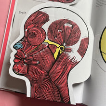 Load image into Gallery viewer, Inside The Body

