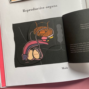 Inside The Body