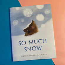 Load image into Gallery viewer, So Much Snow
