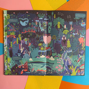 Day & Night: Rainforest