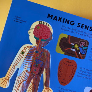 The Body Book