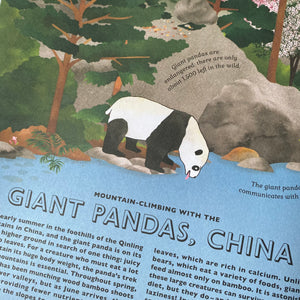 Atlas Of Animal Adventures