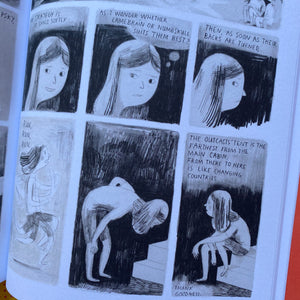 Jane, The Fox & Me