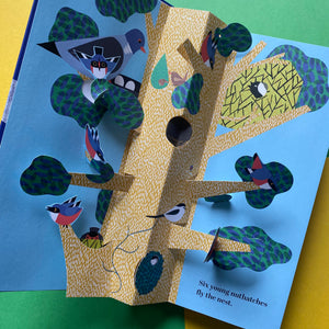 Six Little Birds