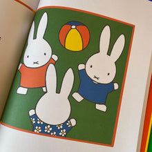 Load image into Gallery viewer, The Illustrators - Dick Bruna
