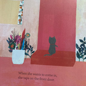 Where Have You Been Little Cat?