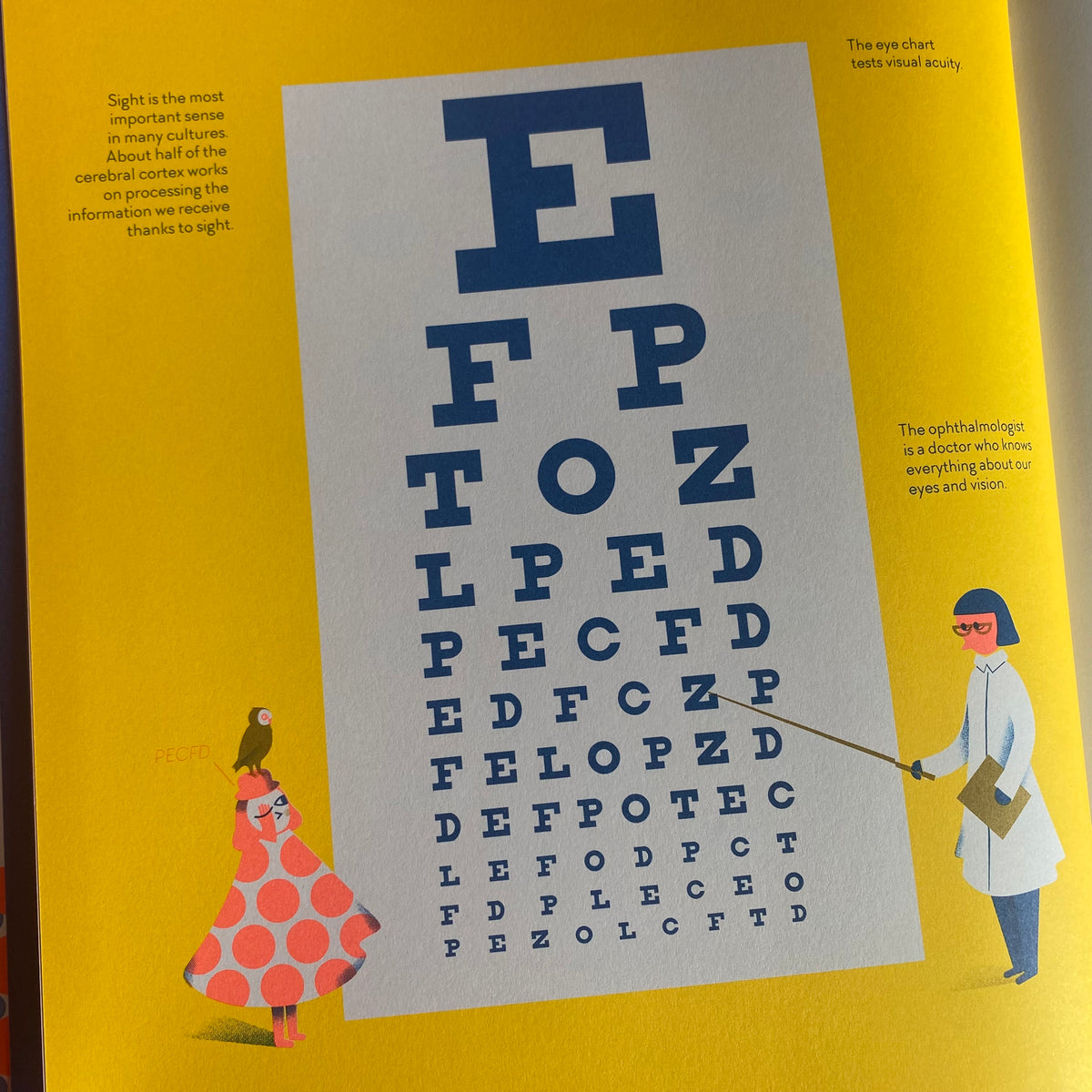 Sight Glimmer, Glow, Spark, Flash! SHELF EDITIONS