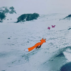 Little Fox