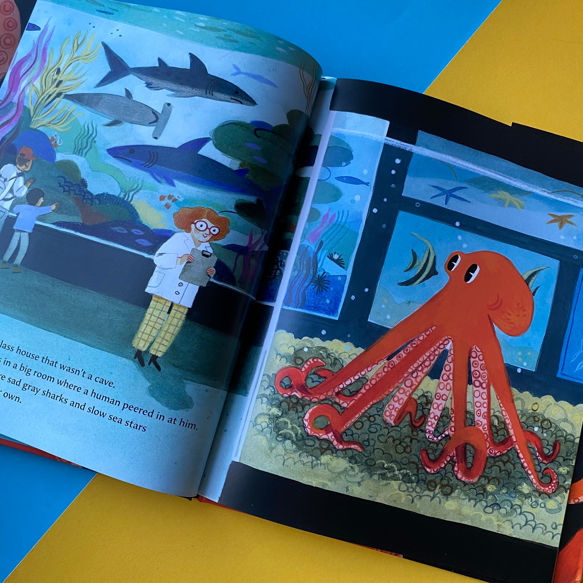 The Octopus Escapes – SHELF EDITIONS