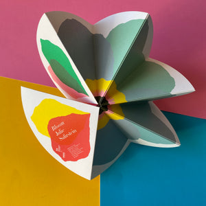 Bloom