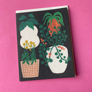 Indoor Plants