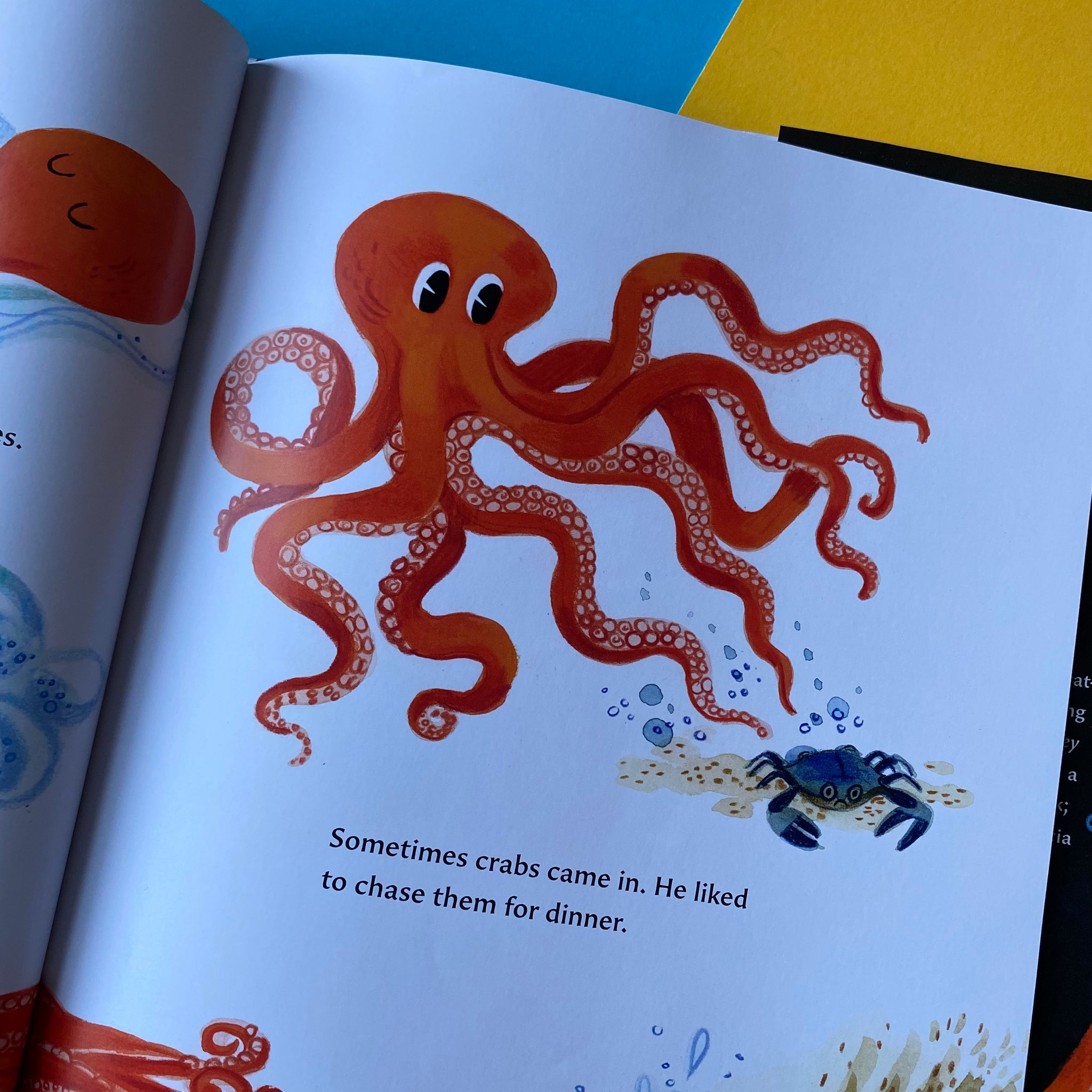 The Octopus Escapes – SHELF EDITIONS